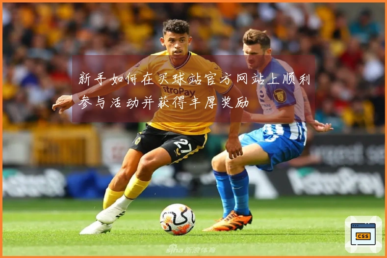 新手如何在买球站官方网站上顺利参与活动并获得丰厚奖励