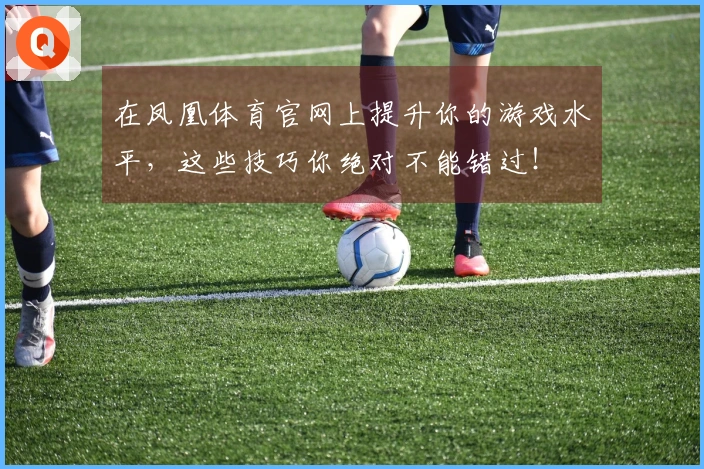 在凤凰体育官网上提升你的游戏水平，这些技巧你绝对不能错过！